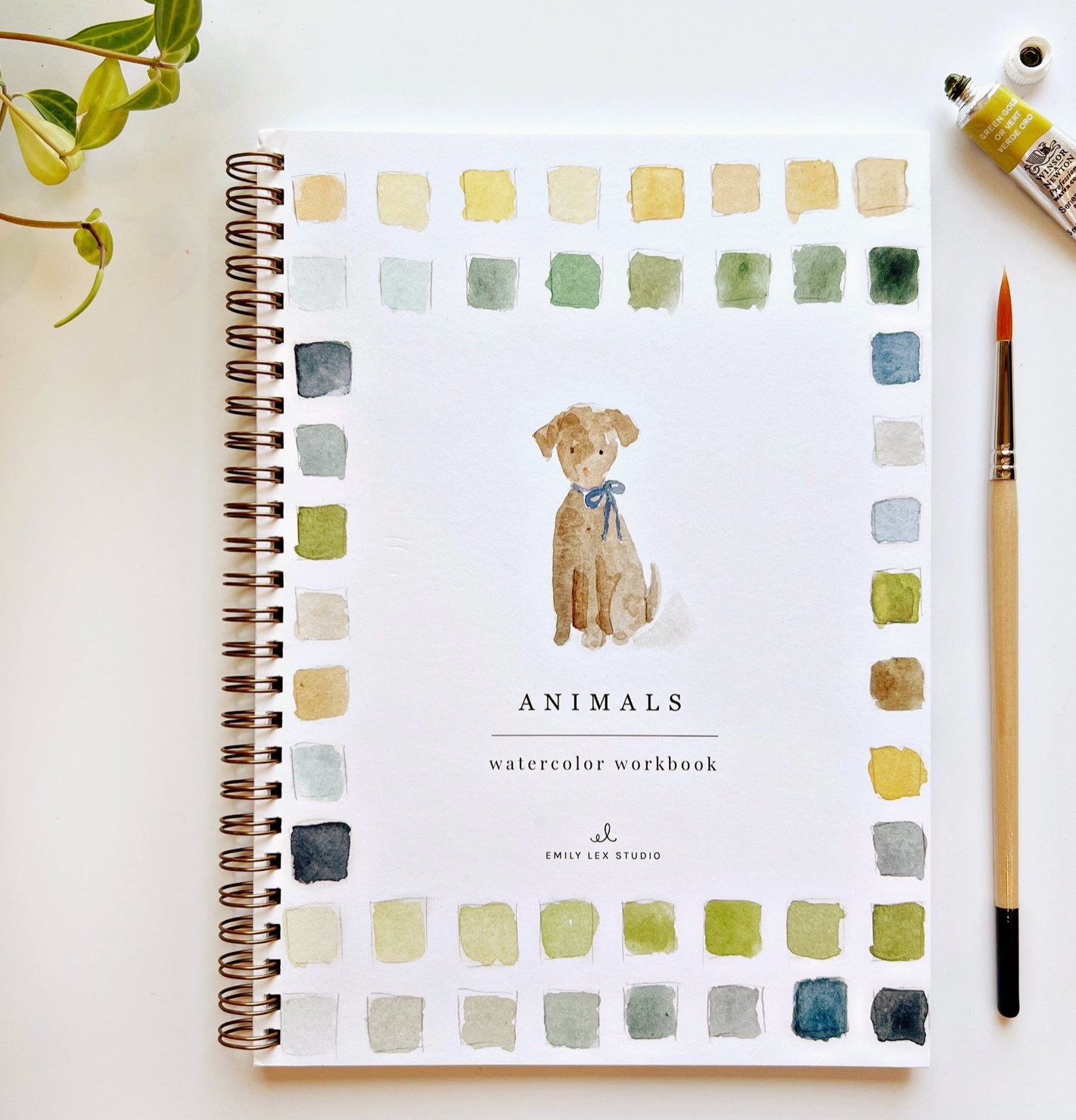 Watercolor Workbook - 3 Styles