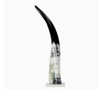 Black & White Cow Horn On Base - 2 Sizes