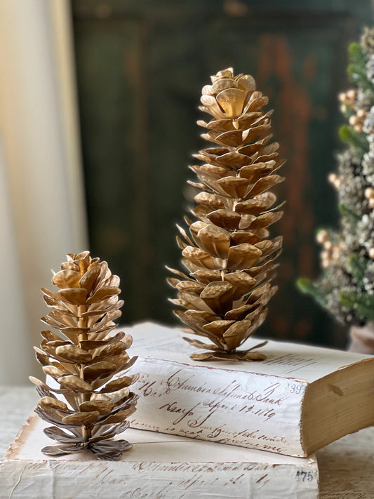 Epaulette Pinecone, 2 Sizes
