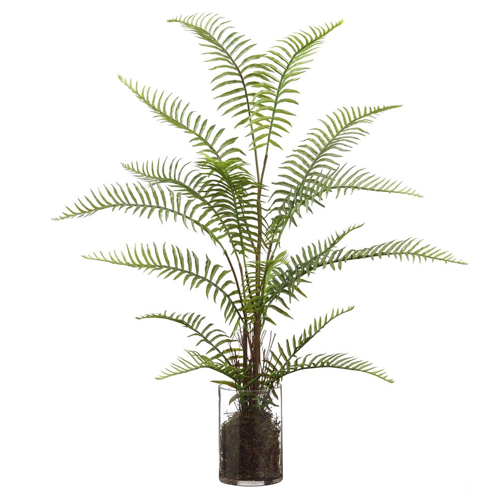 29" Sword Fern in Glass Vase
