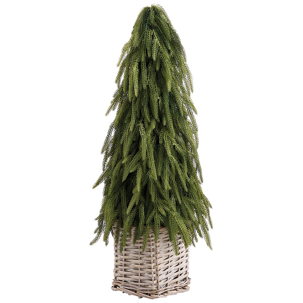 25" Cypress Cone Topiary in Wicker Basket