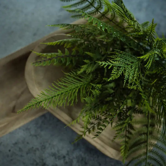 RH 16" Mixed Fern Bush