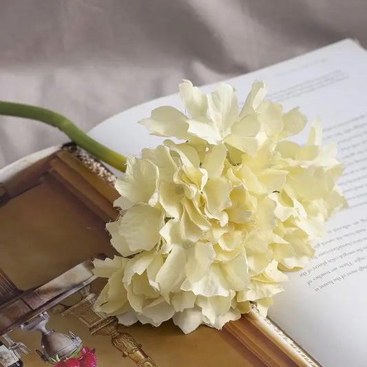 14" Cream Real Touch Hydrangea