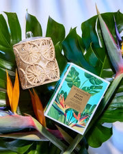 Limited Edition Glasshouse Candles