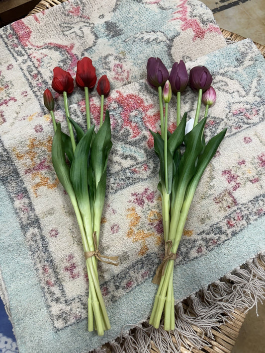 FC 19" Tulip Bundle x 5 (2 Colors)