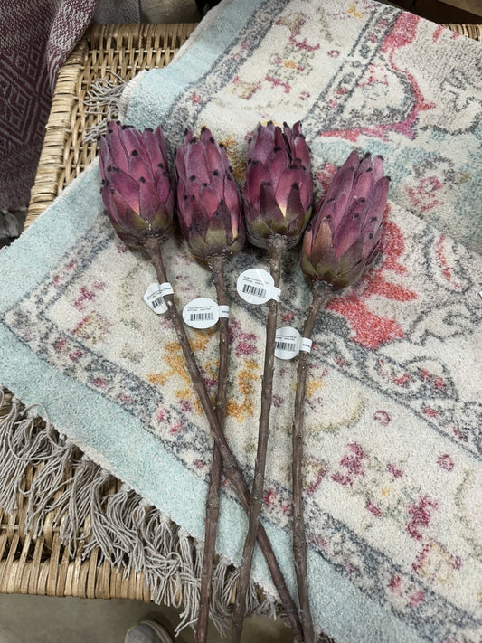 20" Dark Pink Young Protea Stem