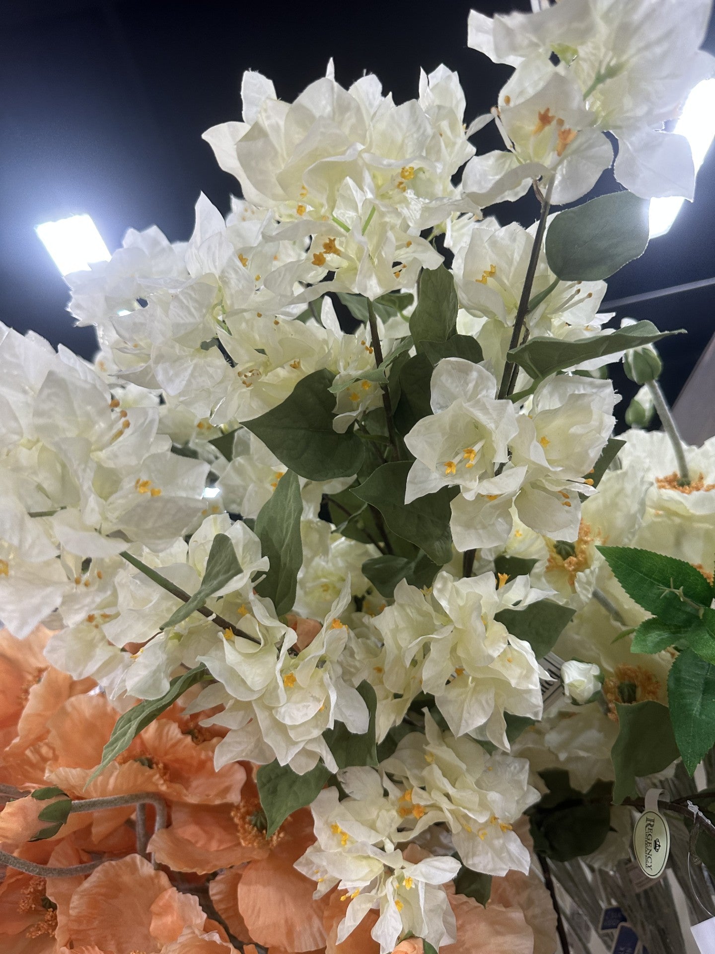 47" UV Bougainville Spray
